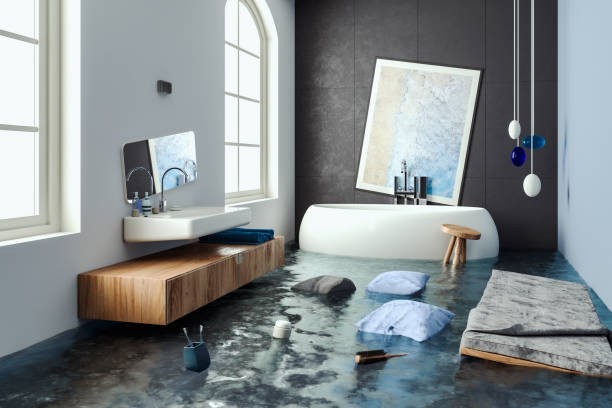 Best Flooded house restoration  in Arbury Hls, IL