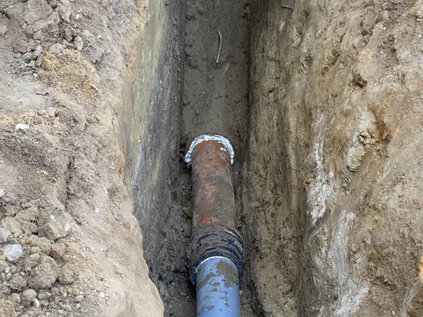 Best Local water damage restoration  in Arbury Hls, IL
