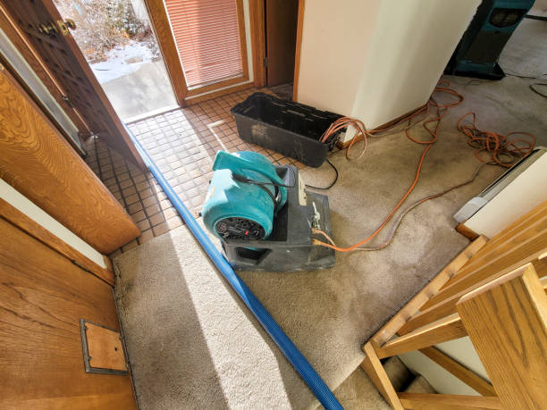 Best Fire Damage Restoration  in Arbury Hls, IL